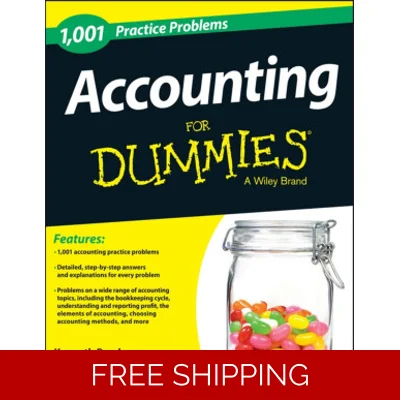 Accounting For Dummies – eBook (PDF Digital Download)
